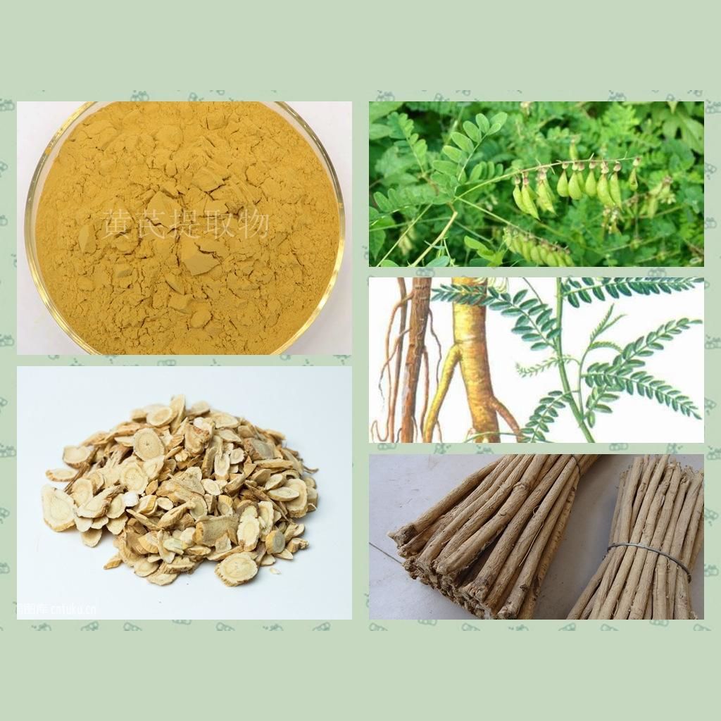 植物提取是什么？